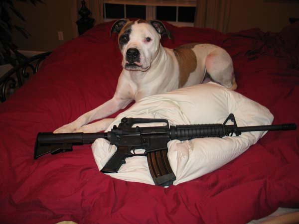 who's meaner?